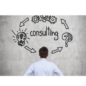 Consulting Business